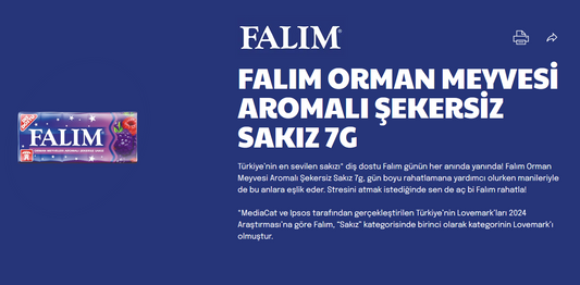 Falim Sugar Free Plain Chewing Gum, Forrest Fruits Flavored, 20 x 5 Packs, 100 Pcs