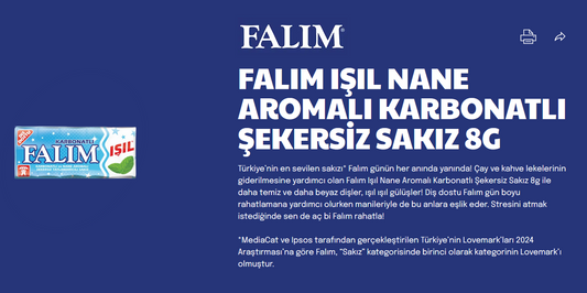 Falim Sugar Free Carbonated Chewing Gum, Mint Flavored, 20 x 5 Packs, 100 Pcs